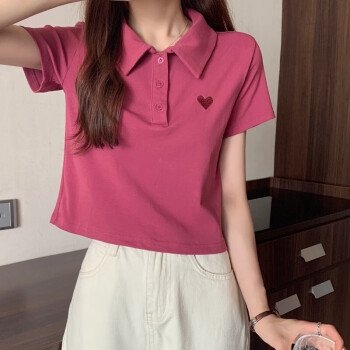 polo衫短袖T恤女夏季刺绣t恤设计感小众翻领短款上衣P polo衫短袖T恤女夏季刺绣t恤设计感小众翻领短款上衣P